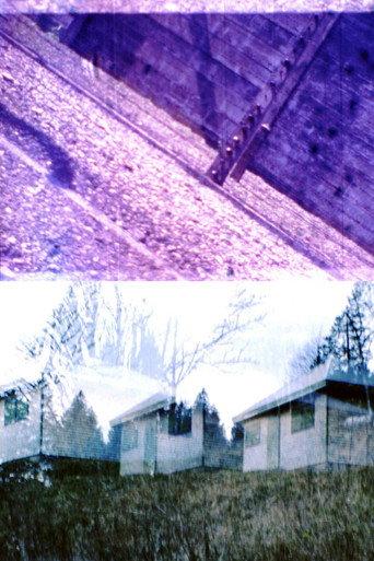 HEIDEGGER IN AUSCHWITZ (2016) poster