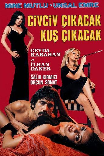 Civciv Çıkacak Kuş Çıkacak (1975) poster