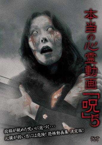 Hontō no Shinrei Dōga 'Noroi' 5 (2013) poster