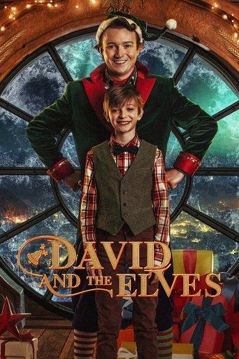 David and the Elves (2021) poster