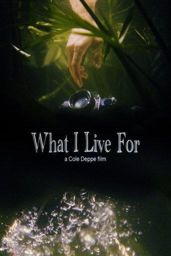 What I Live For () poster