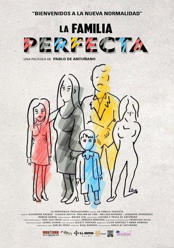 The Perfect Family () poster