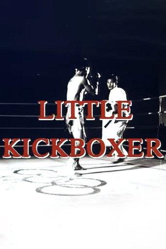 Thunder Ninja Kids: Little Kickboxer (1991) poster
