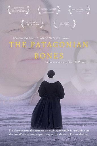 The Patagonian Bones (2015) poster