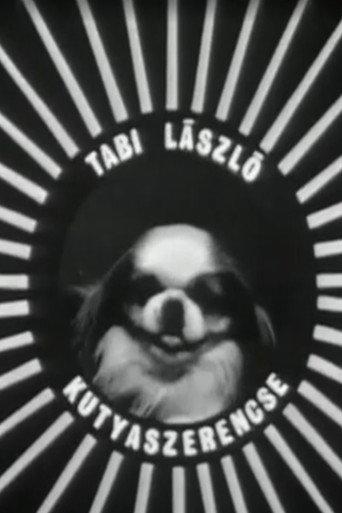 Kutyaszerencse (1967) poster
