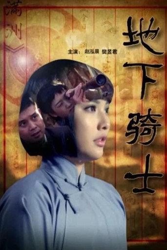 The Undercover Knight (2015) poster