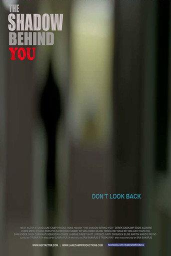 The Shadow Behind You (2015) poster
