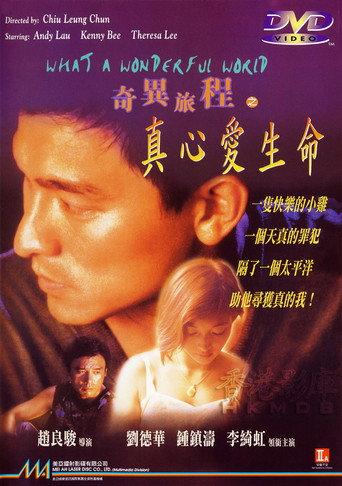 What a Wonderful World (1996) poster