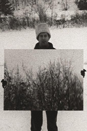 Mirror (1969) poster