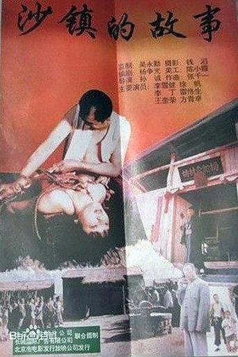 沙镇的故事 (1996) poster