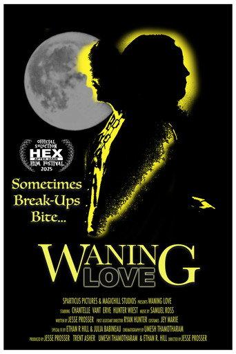 Waning Love () poster