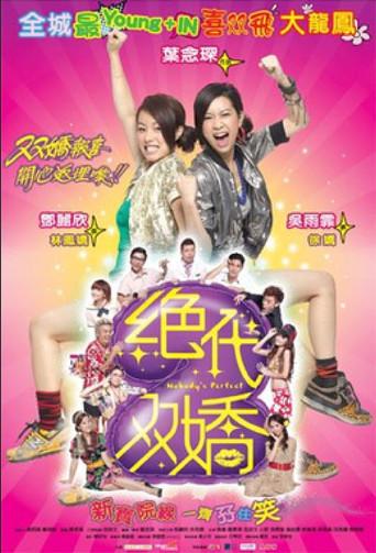 Nobody's Perfect (2008) poster
