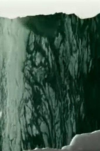 Orka (1997) poster