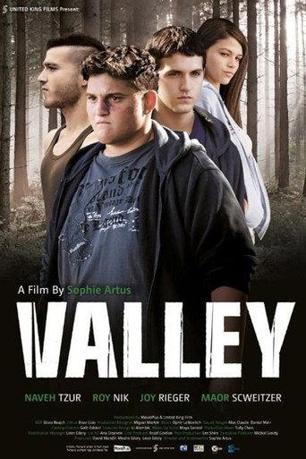 Valley (2014) poster