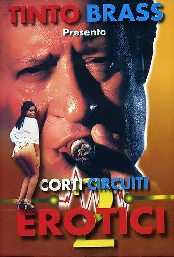 Erotic Short Circuits Vol.2 (1998) poster
