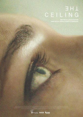 The Ceiling () poster