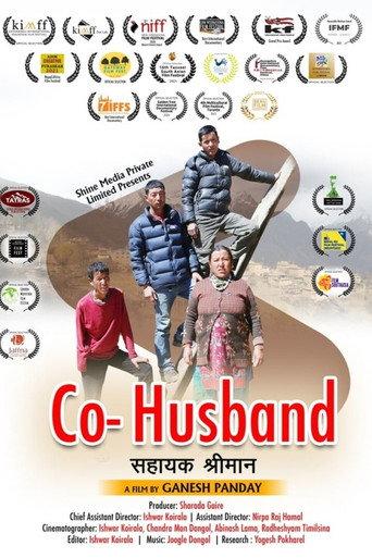 Co-Husband (2020) poster