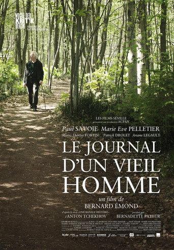 The Diary of an Old Man (2015) poster