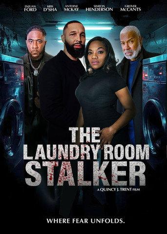 The Laundry Room Stalker () poster