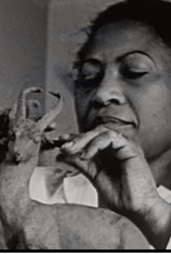 A Study of Negro Artists (1935) poster