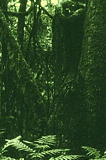 The Eyes in the Woods and the Taste in the Water (2020) poster
