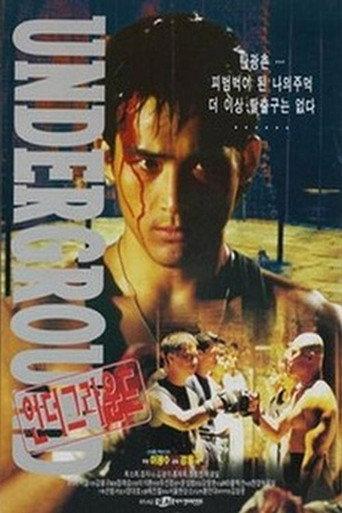 Underground (1996) poster