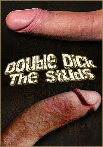 Double Dick the Studs (2010) poster