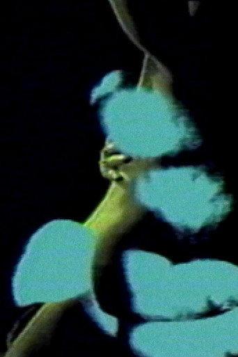 Letter to a Lover (1988) poster