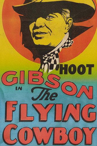 The Flyin' Cowboy (1928) poster