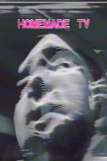Homemade TV: Vasulkas II (1975) poster