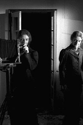 The Multiple Selves of Hannah Maynard (2004) poster