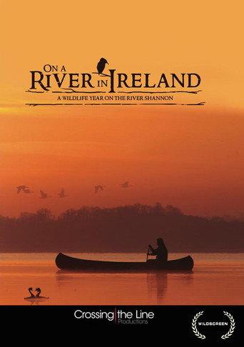 On a River in Ireland (2013) poster