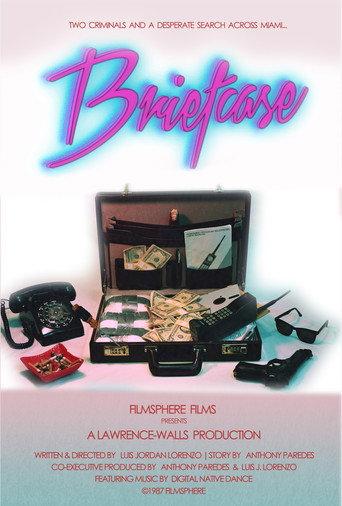 Briefcase (2018) poster