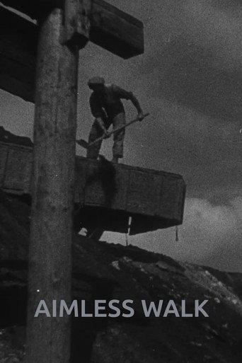 Aimless Walk (2026) poster