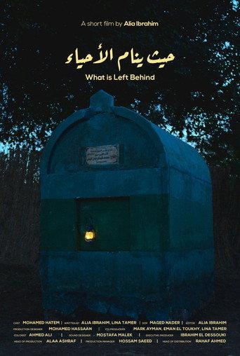 What is Left Behind (2024) poster