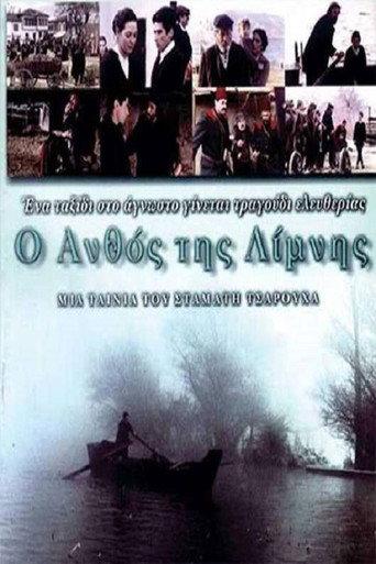 The Flower of the Lake (1999) poster