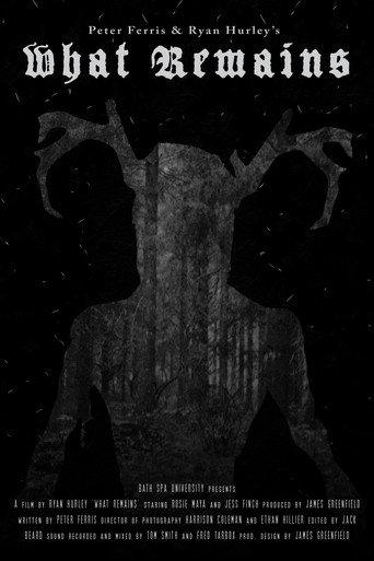 What Remains () poster