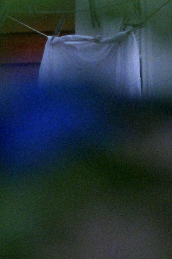 Blue Hat (1993) poster