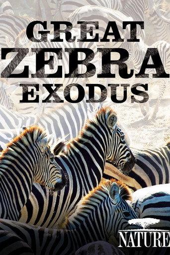 Nature: Great Zebra Exodus (2013) poster