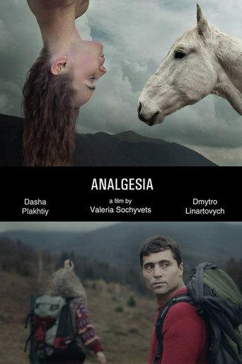 Analgesia (2014) poster