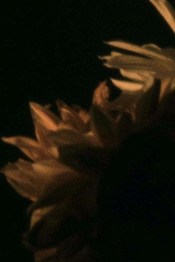 passages (2023) poster
