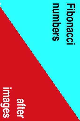 A Reverse Fib (2016) poster