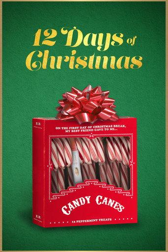 12 Days of Christmas (2020) poster