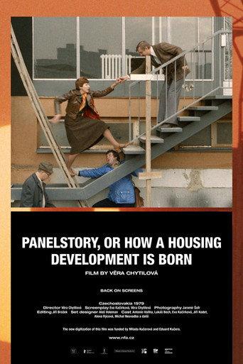 Panelstory or Birth of a Community (1981) poster