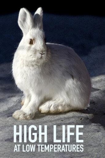 High Life at Low Temperatures (2017) poster