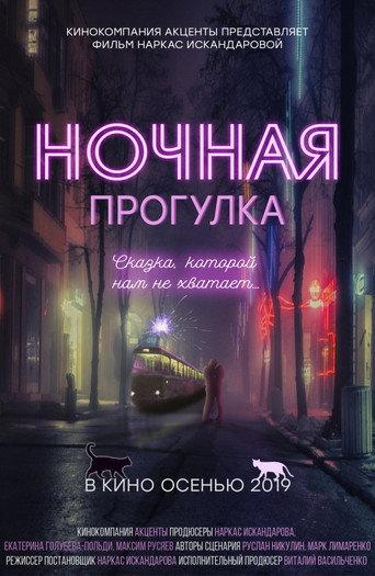 Ночная прогулка () poster
