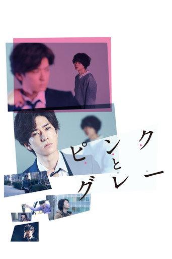 Pink and Gray (2016) poster