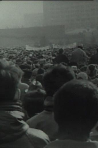 Chronicle of an Undeclared Demonstration (1991) poster