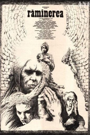 Remainders (1990) poster