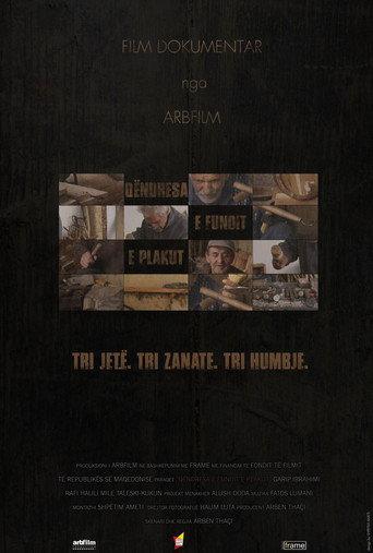 Old Men's Last Stand (2015) poster
